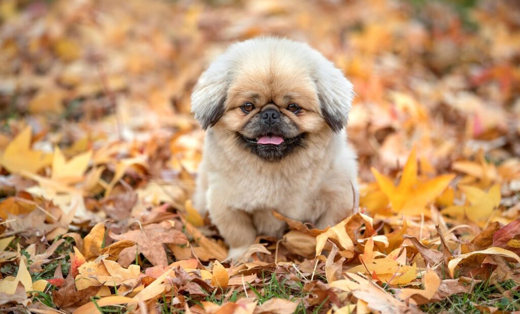 どうして舌が臭いと感じる飲み物は何ですか？