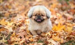 口臭対策に効果的なスプレーのおすすめは？