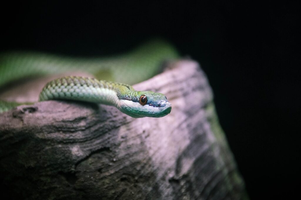 口臭の原因とその症状にはどんなものがあるの？