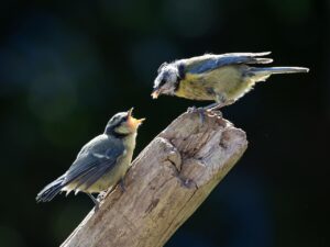 口臭の相談はどこにすればいい？